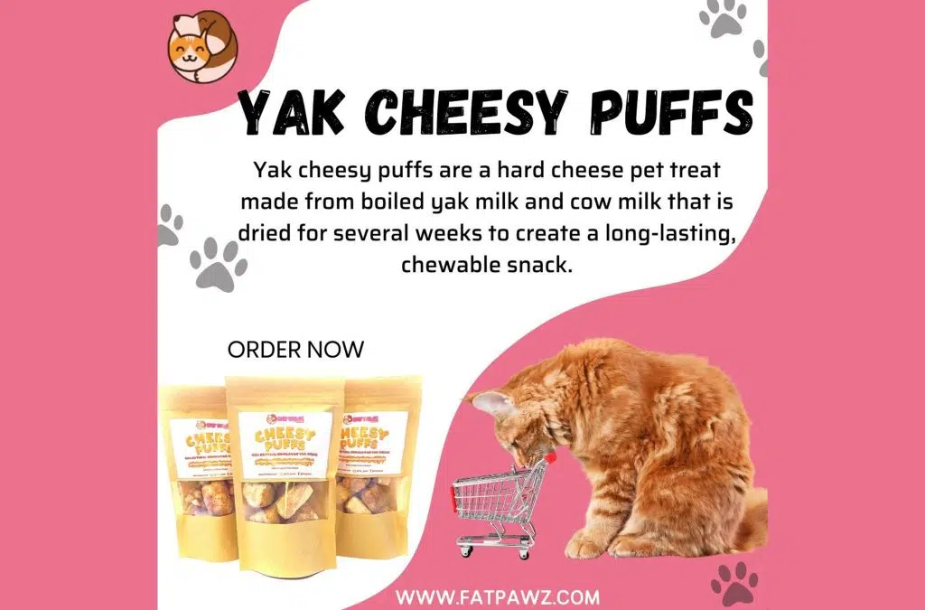 fatpawz pet care food supplies stores shops doha