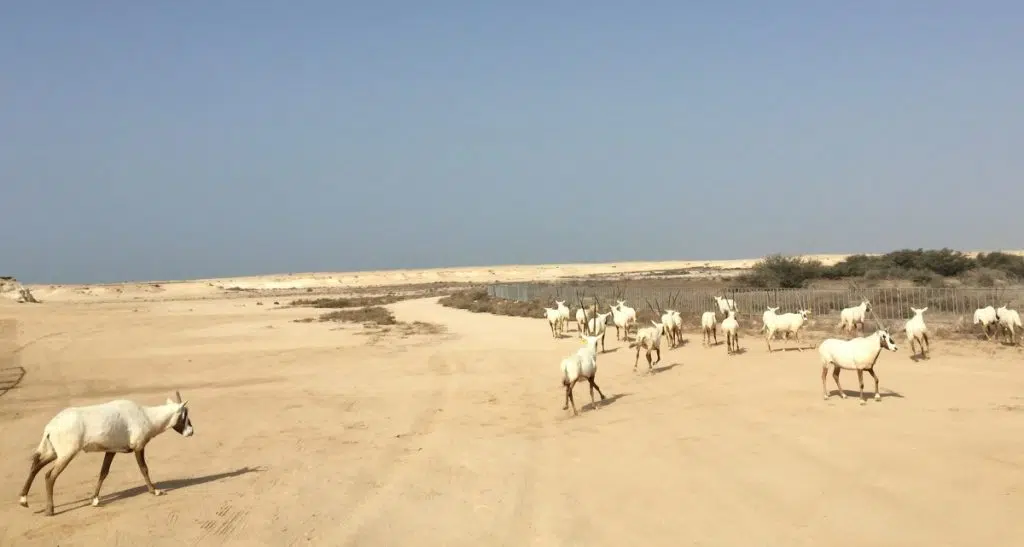 20170415 1492249261 165529