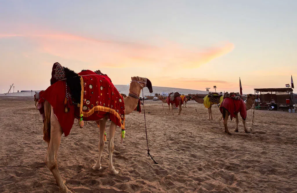 Screenshot 2025 07 01 155451