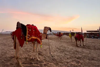 Screenshot 2025 07 01 155451