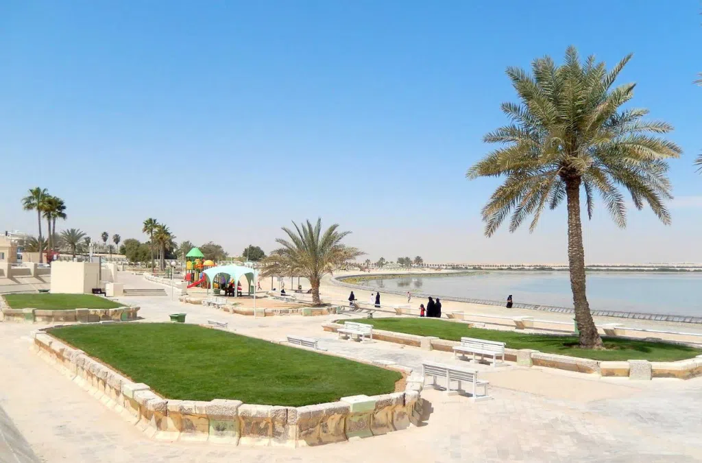 Screenshot 2025 07 01 155545