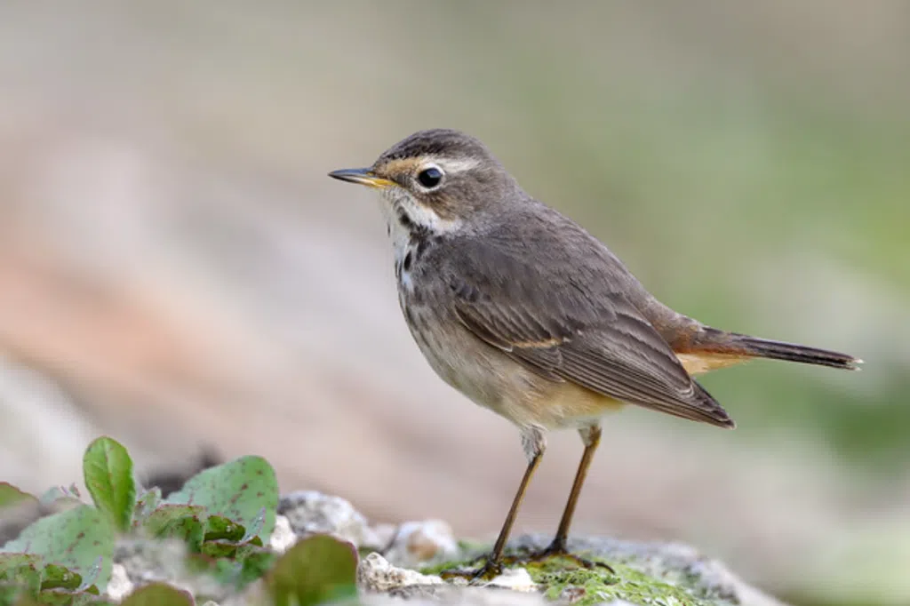 Screenshot 2025 07 13 131845