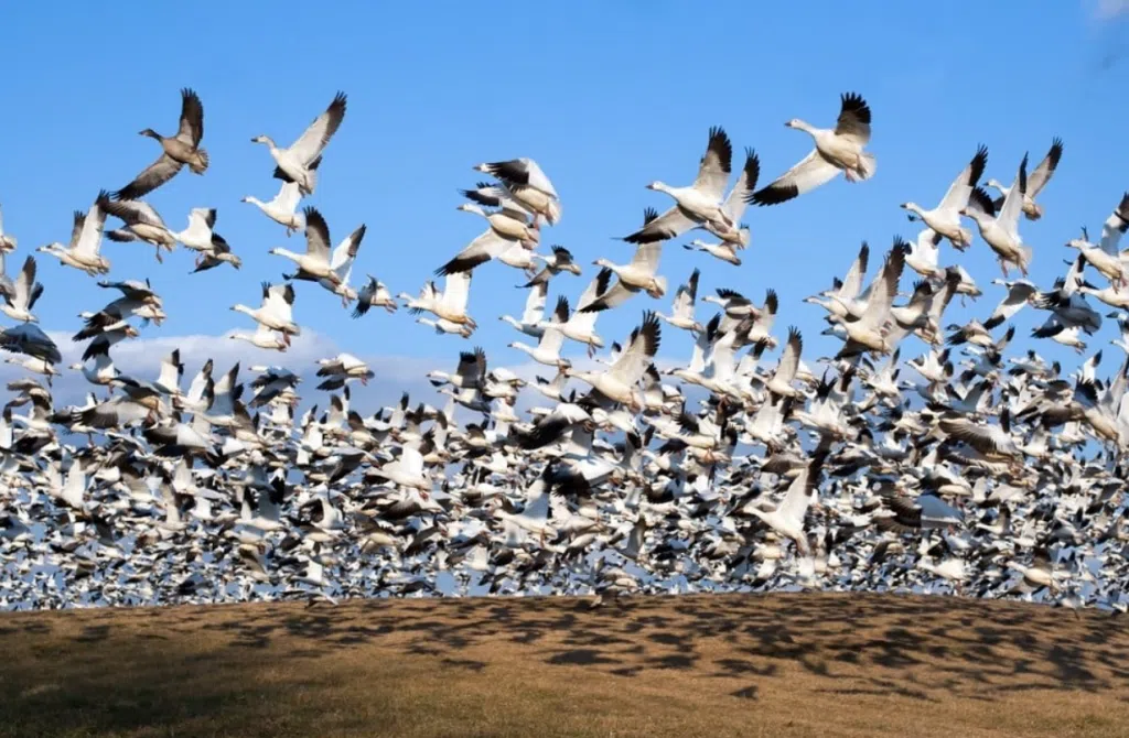 Screenshot 2025 07 13 131906