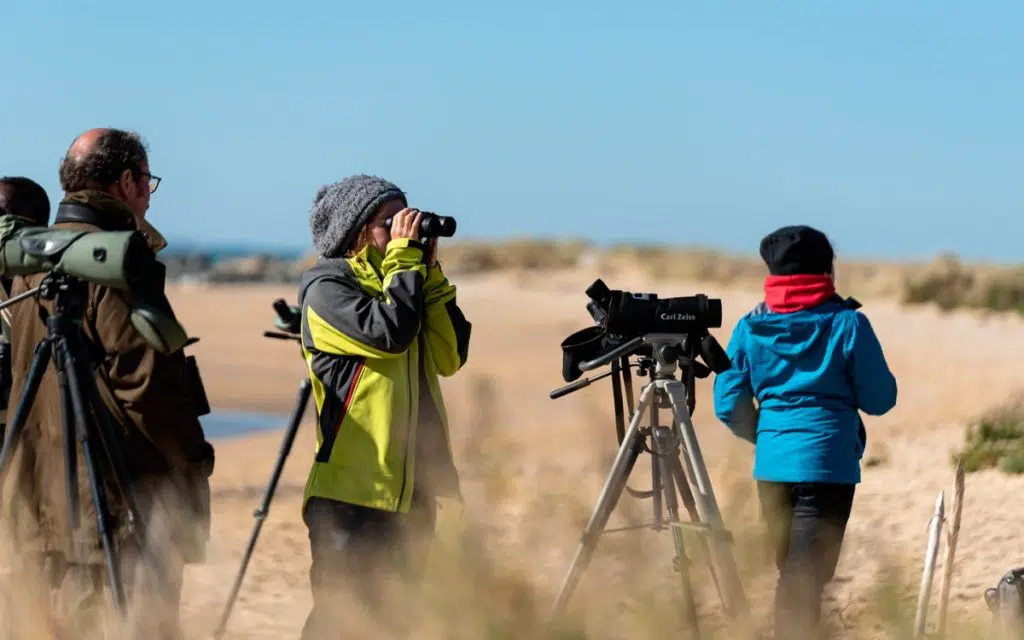 camp migration lpo ornithologie birdwatching la pointe de l aiguillon sur mer vendee 1200x750 1
