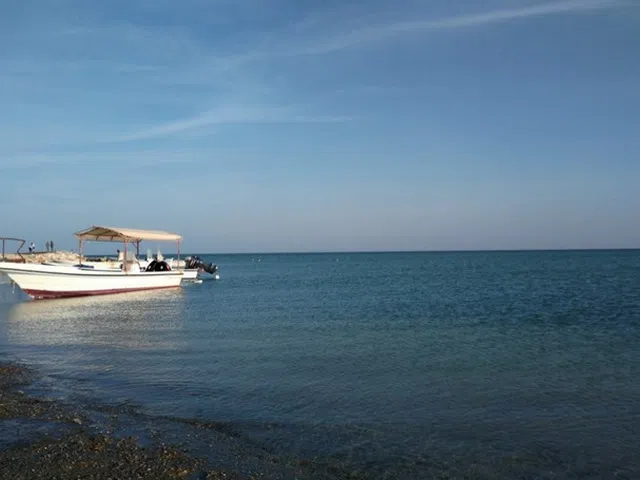 Al Ghariya Beach Qatar 2