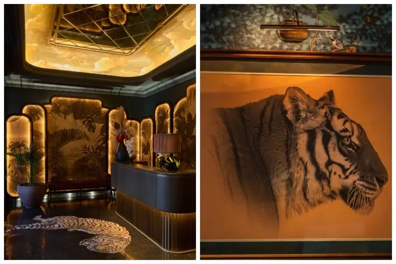 MixCollage 13 May 2025 11 09 AM 331