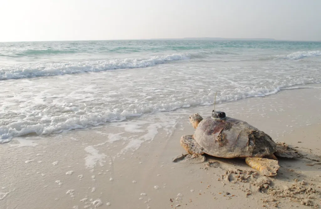 Screenshot 2025 08 03 154312