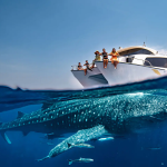 8 أنشطة رائعة يمكنك القيام بها في الدوحة