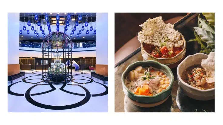 bddea06e70034fa1a721dcd6e11662ff w doha coya