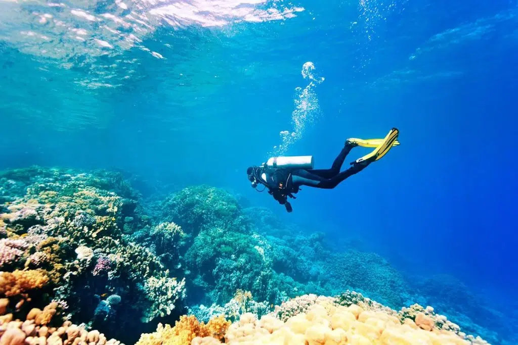 A Guide to Scuba Diving in Doha Qatar