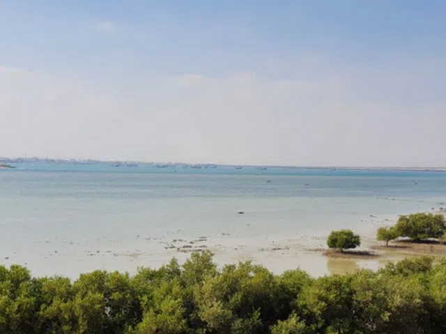 Purple Island Qatar 1